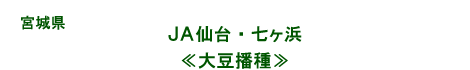 ＪＡ仙台・七ヶ浜／大豆播種