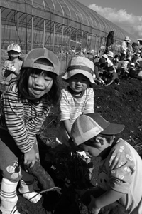 芋堀りをする「おにぎり保育園」の子どもたち