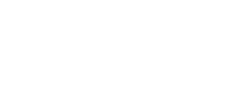 実施要項