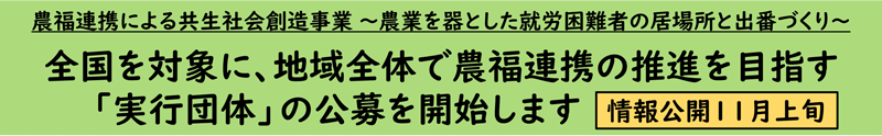 公募を開始します