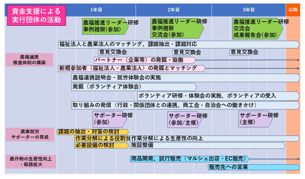 図_各年度で実行団体が行なうこと（イメージ）