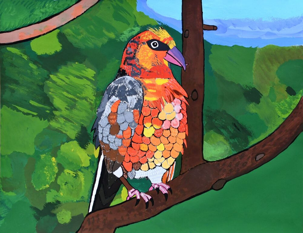 イスカ（オス）